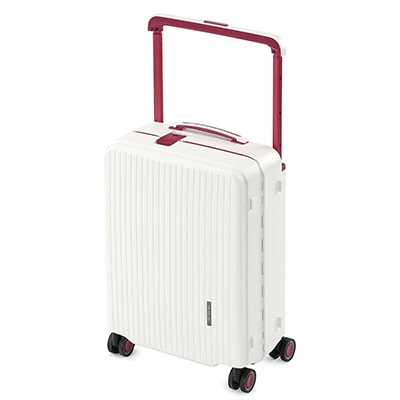 Large Check-In Luggage