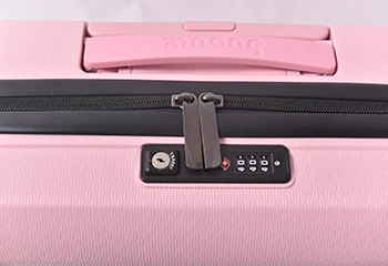 Trusted Travel Security