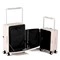 Dual Open Luggage Sets with Wide Handle