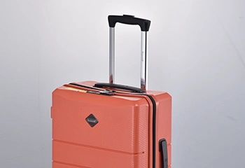 Ergonomic Telescopic Handle