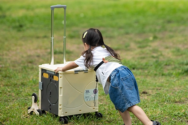 Foldable Box Trolley