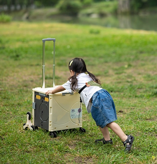 Foldable Box Trolley