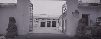 Milestones & Development History