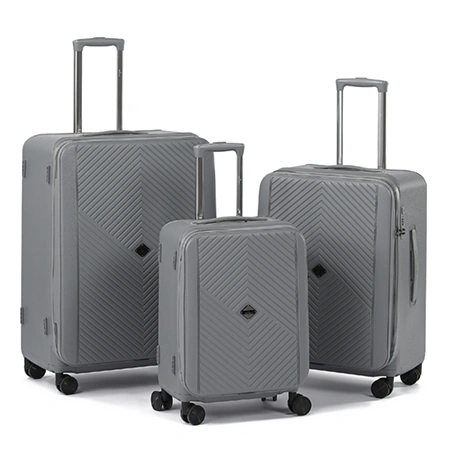 Large Check-In Luggage