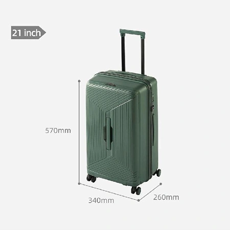 Check-In Luggage