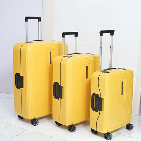 Medium Check-In Luggage