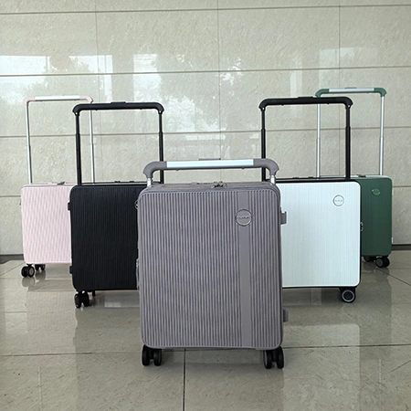 Mini Carry-On Luggage